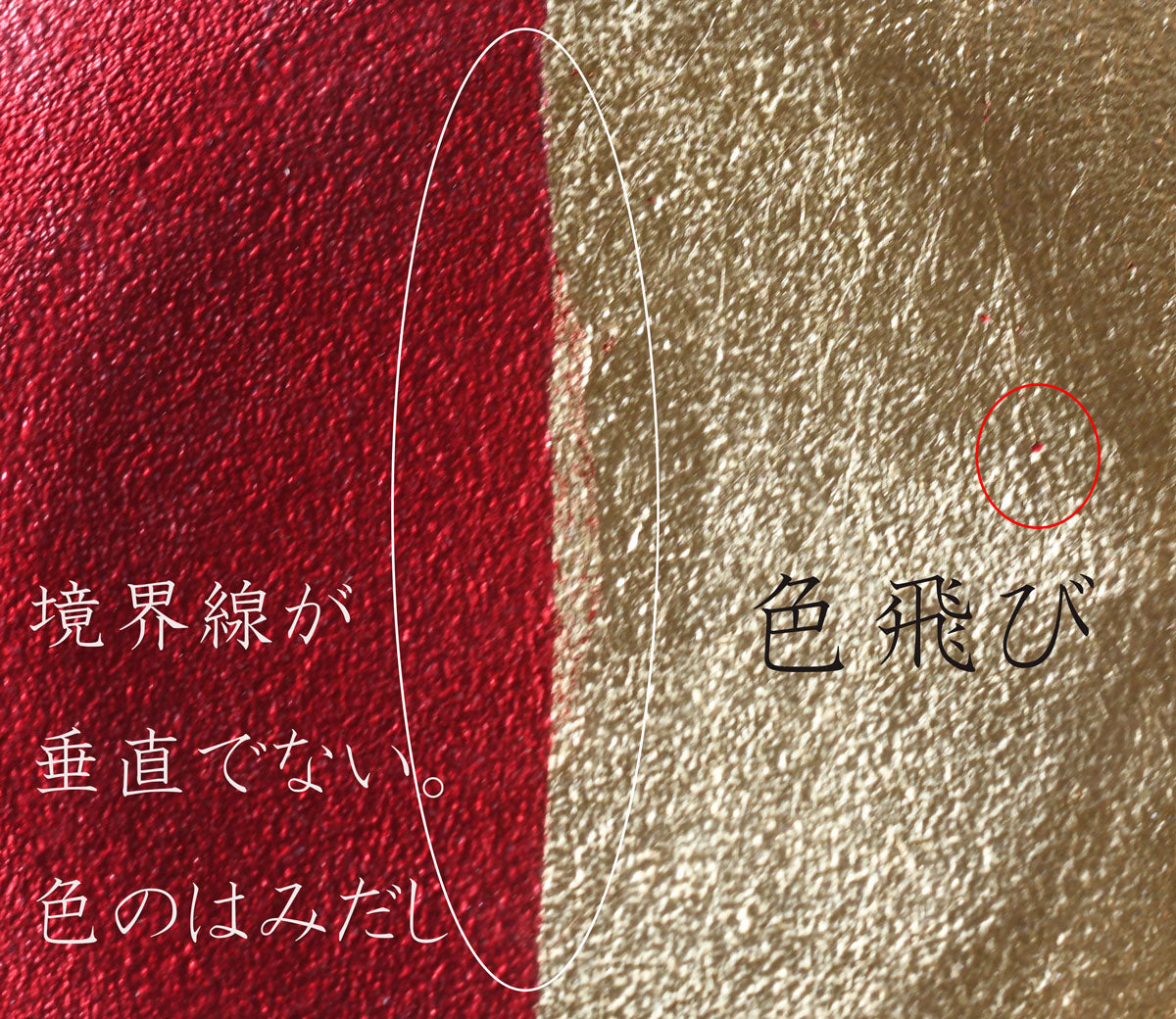 【取り寄せ商品】FEGARI フェガーリ リムボール21.5cm 2色 FG2103