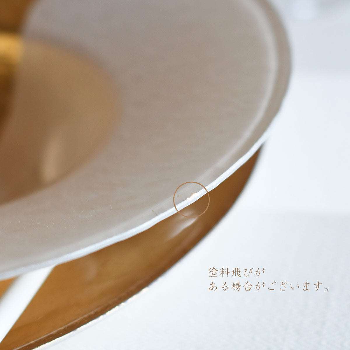 【取り寄せ商品】FEGARI フェガーリ リムボール21.5cm 2色 FG2103