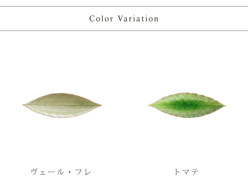 RIVIERA リヴィエラ ローレルリーフ 2色 VEP182