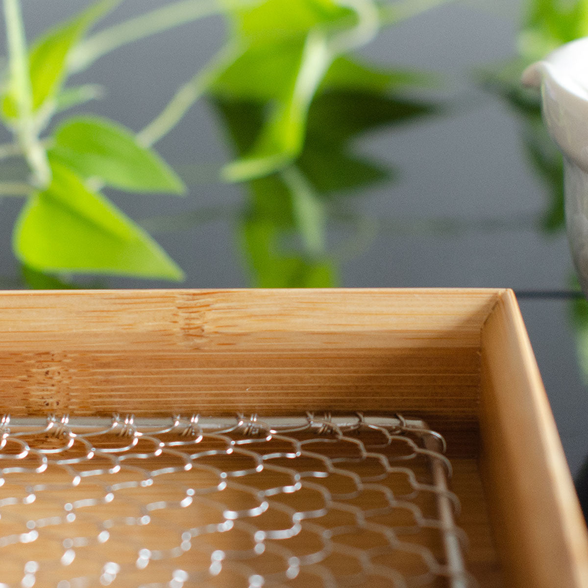 【取り寄せ商品】用美 YOUBI 竹・天ぷら盛皿(ステンレス目皿付) 正角5寸 クリアー 18270