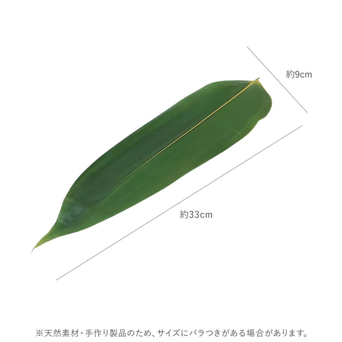 生笹 M 真空パック 10枚入 22355