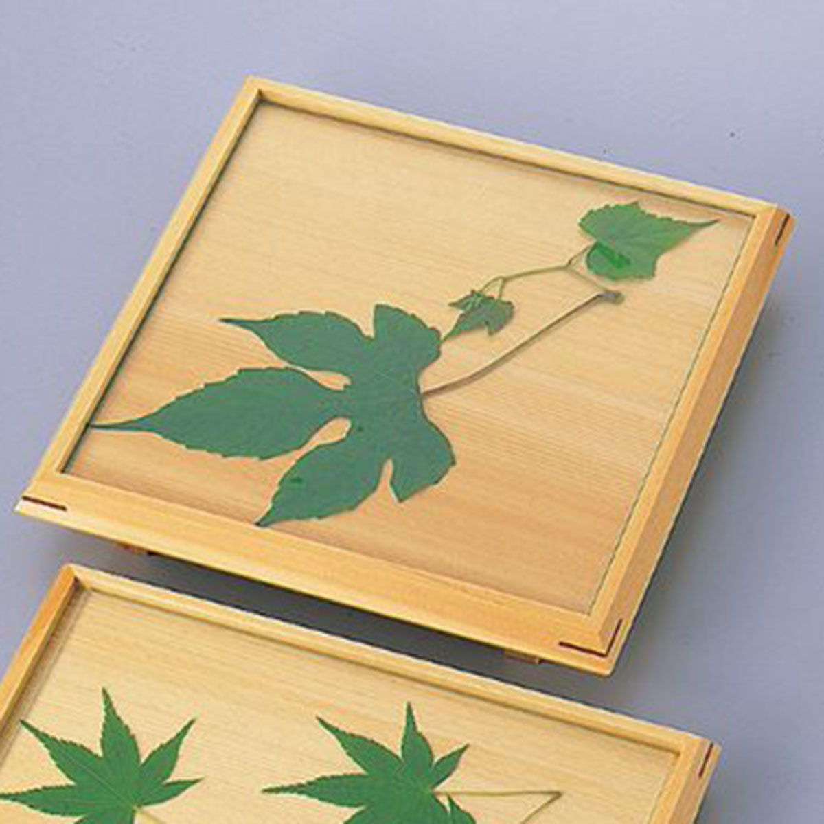 【取り寄せ商品】7寸正角前菜皿(ガラス付) 38486