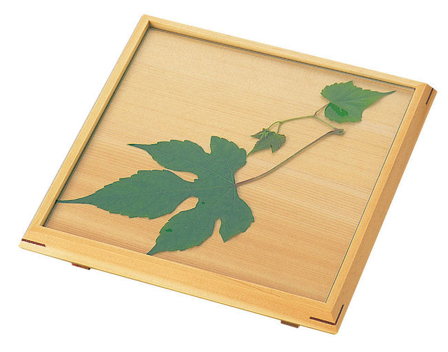 【取り寄せ商品】7寸正角前菜皿(ガラス付) 38486