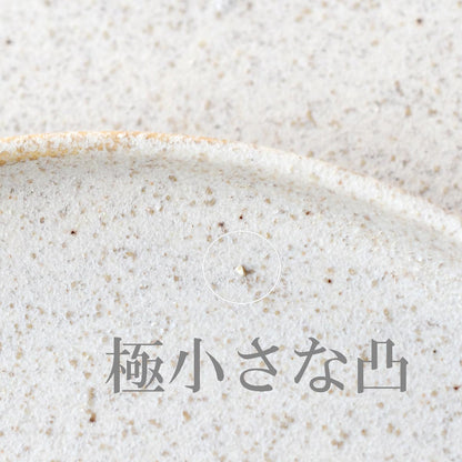 【取り寄せ商品】和 WA-ware 絹衣 きごろも 5.0皿【日本製】　18700004