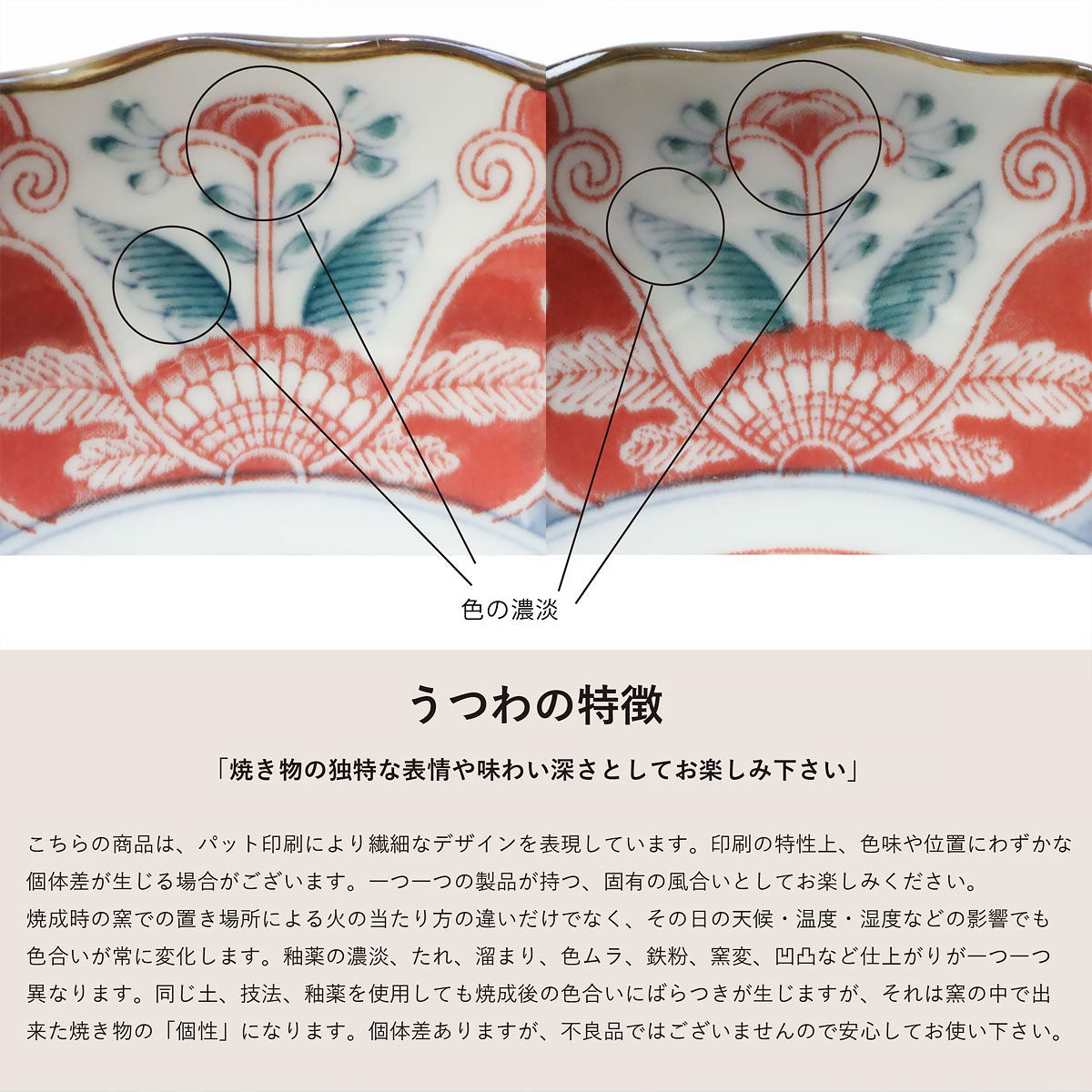 江戸っ子恐竜 良縁竜 銘々皿【日本製 美濃焼】