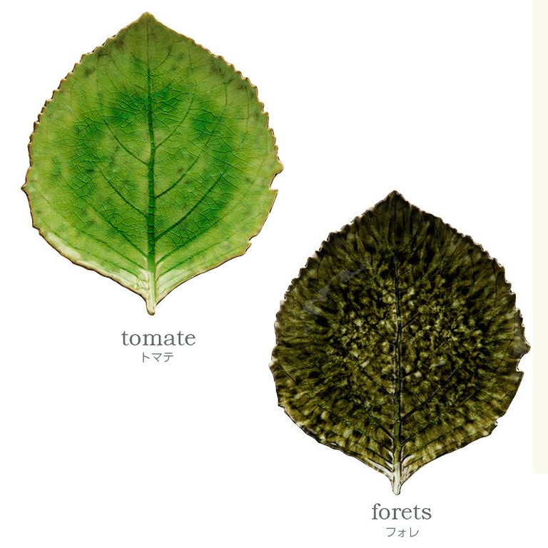 RIVIERA　リヴィエラ　ハイドランジアリーフ　Sサイズ ２色　VEP171