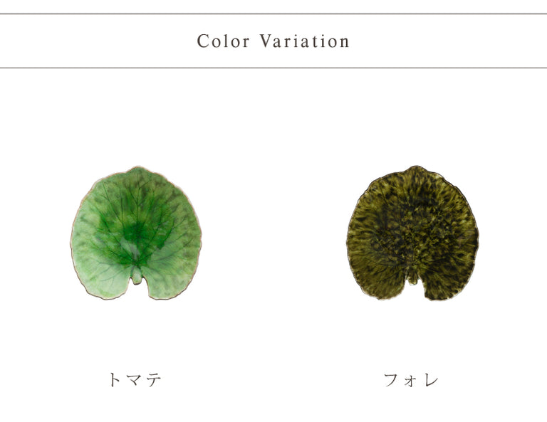 RIVIERA　リヴィエラ　アルケミルリーフ　２色　VEP181