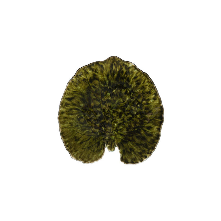 RIVIERA　リヴィエラ　アルケミルリーフ　２色　VEP181