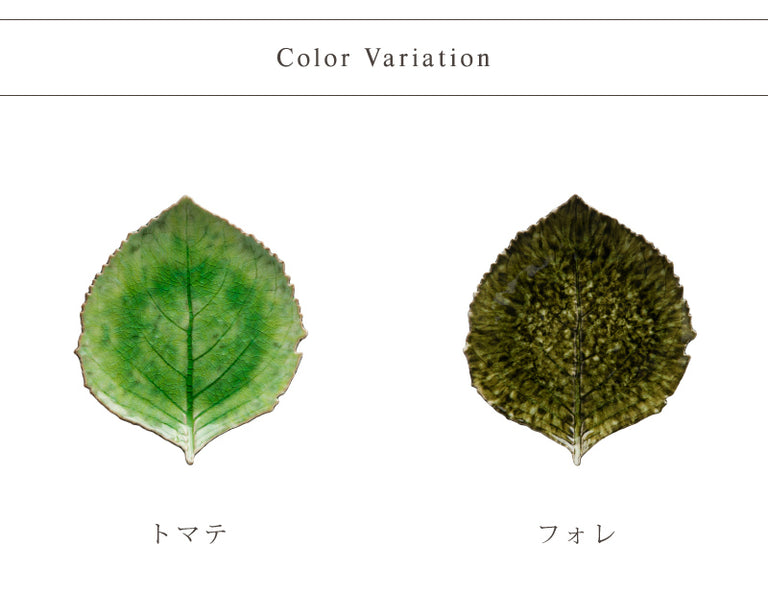 RIVIERA　リヴィエラ　ハイドランジアリーフ　２色　VEP221